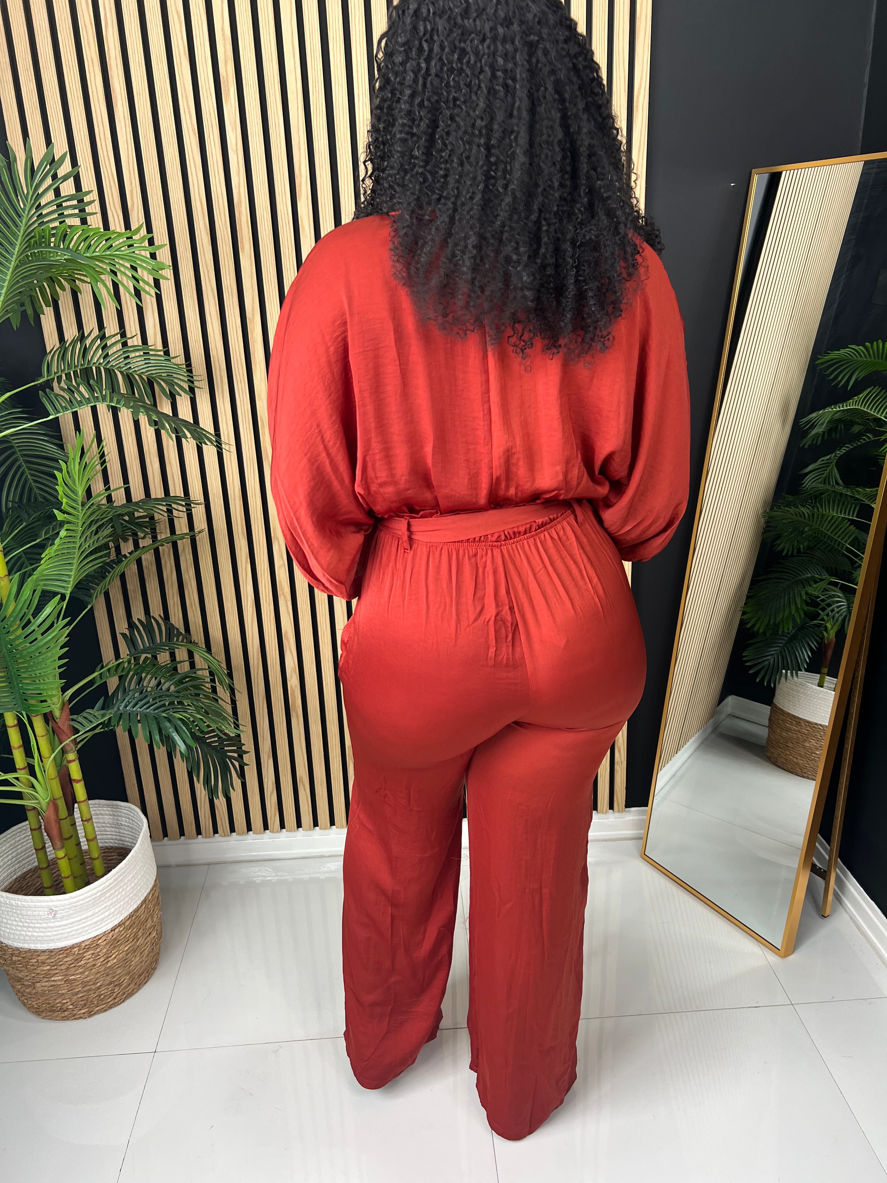 Sleeves V-Neck Jumpsuit (Brick)