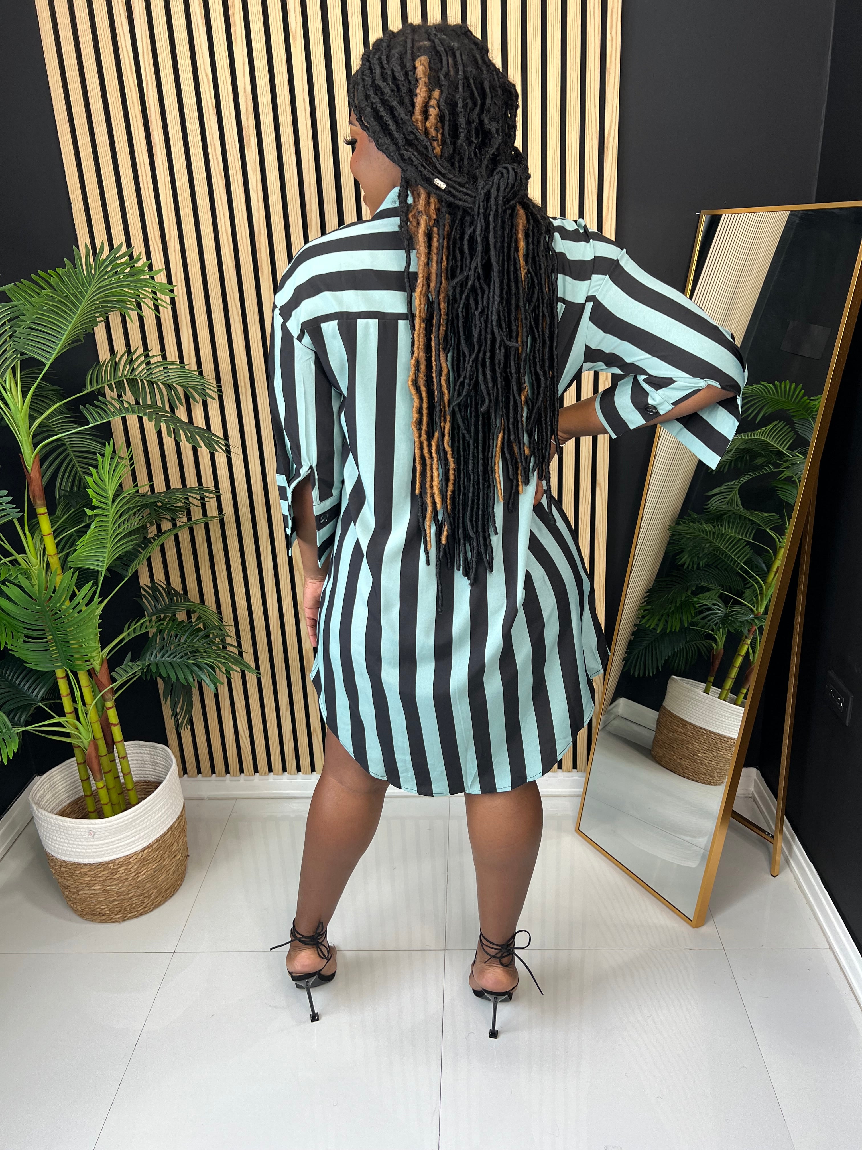 Daydream Striped Shirt Dress (Sage)